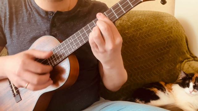 Basket Case - Green Day ukulele fingerstyle cover смотреть онлайн