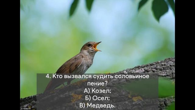 Викторина с Карамелькой - Басни Крылова смотреть онлайн