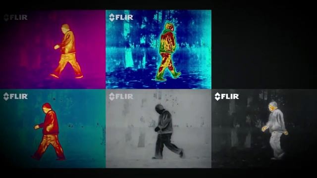 Introducing the FLIR Scion® Family of Thermal Monoculars смотреть онлайн