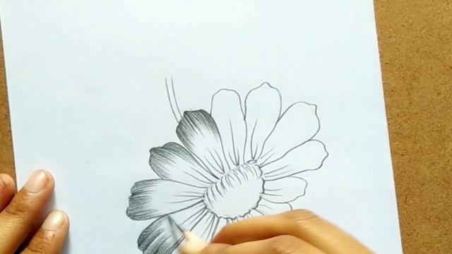 how to draw zinnia flower step by step | zinnia flower | flower drawing смотреть онлайн