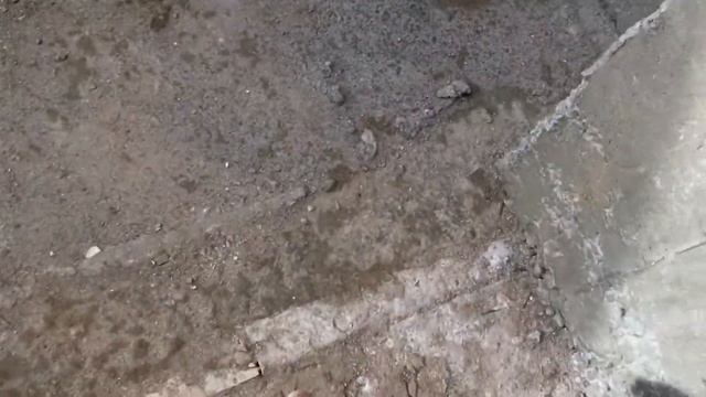 #39. Вход в подвал с улицы. Сняли опалубку. ДОРОГА К ДОМУ. смотреть онлайн