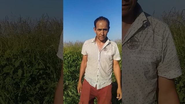 Бархан F1 Жетсай смотреть онлайн