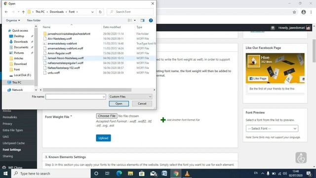 A way to Install Any Urdu Nastaleeq font on WordPress Website смотреть онлайн