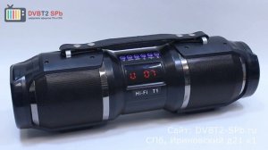 Многофункциональная портативная акустическая система