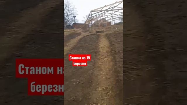 #редиска #редька смотреть онлайн