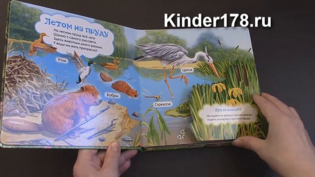 Говорящие окошки "В шумном лесу" Азбукварик. Видео-обзор смотреть онлайн