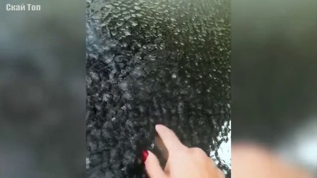 все опасности природы смотреть онлайн