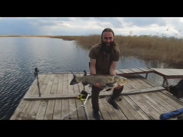 ТЕЗИСЫ МОИХ РЫБАЛОК ТОЛСТОЛОБЫ ДЕСЯТКИ, ЩУКИ ВОСЬМЕРКИ И НЕ ТОЛЬКО смотреть онлайн