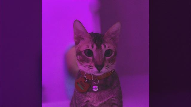 Милана Хаметова & Milana Star - ЛП || Speed Up смотреть онлайн