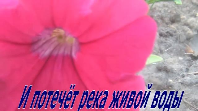 счастье ,соколовы караоке(минус) смотреть онлайн