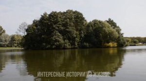 ХОТЕЛА ДВА СРАЗУ, НО ПОДАВИЛАСЬ. Измена жены. Жизненные истории и аудио рассказы