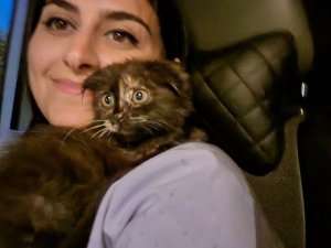 Срочно ищет дом милашка