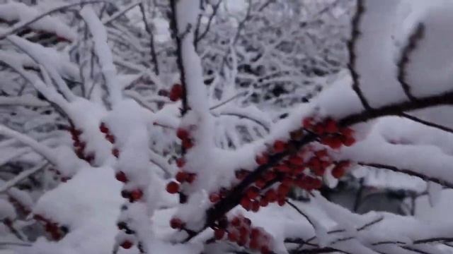 Первый снег смотреть онлайн