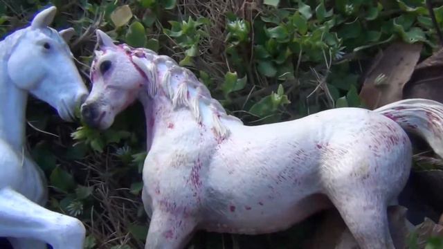 Riding Free,schleich horse music video смотреть онлайн