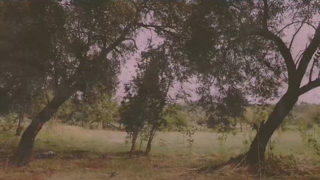 Cinematic video by Canon eos 200d with 50mm f1.8.... смотреть онлайн