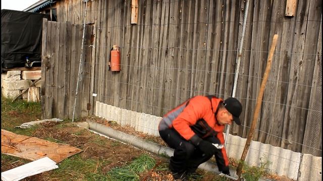 Раннее укрытие винограда. Серия 113 . смотреть онлайн
