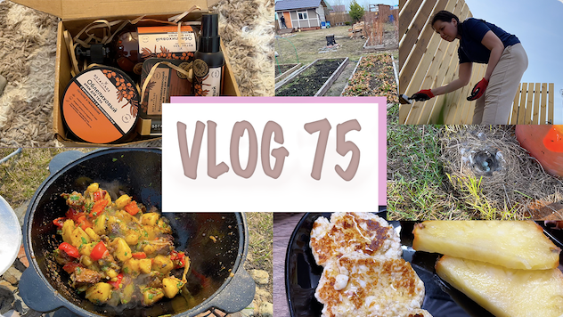 ВЛОГ 75. ДАЧНИКИ. РАСПАКОВКА BOTAVIKOS. АДЖАХУРИ НА КОСТРЕ. СЫРНИКИ БЕЗ МУКИ И САХАРА. НАШЛИ ГНЕЗДО смотреть онлайн