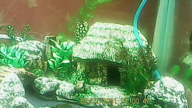 Домик в деревне смотреть онлайн