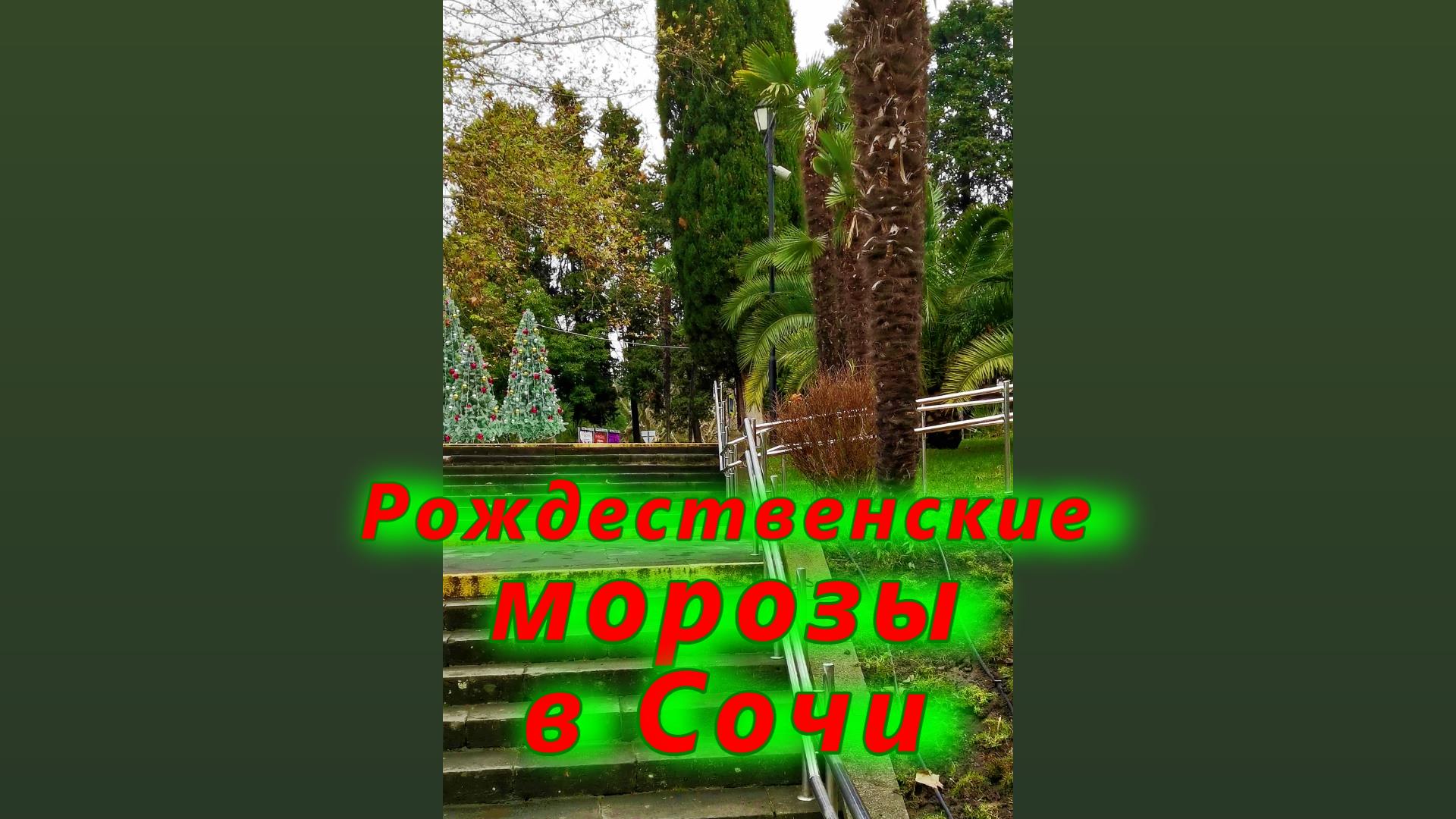 "Рождественские морозы" в Сочи смотреть онлайн