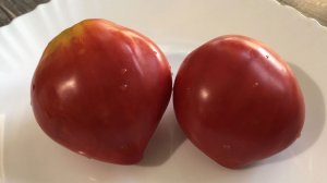 Сорт томата Японка!