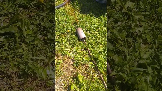 По-горячему!!! Процесс установки дерево в земле. смотреть онлайн