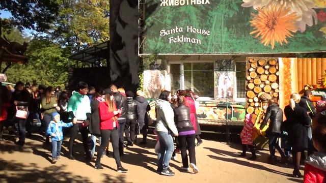 ЭКОПАРК. Бал хризантем. (1я часть) смотреть онлайн