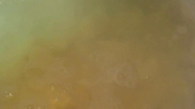 Рецепты Десертов