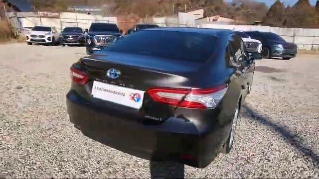 Toyota Camry (XV70), 2019 смотреть онлайн
