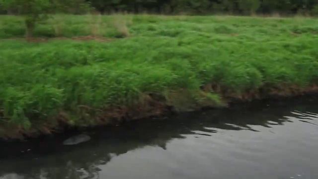 утонувший кабан смотреть онлайн