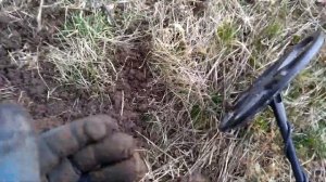 Поиск с МТ 705. + катушка Nel Tornado. Есть ещё находки на старом урочище!