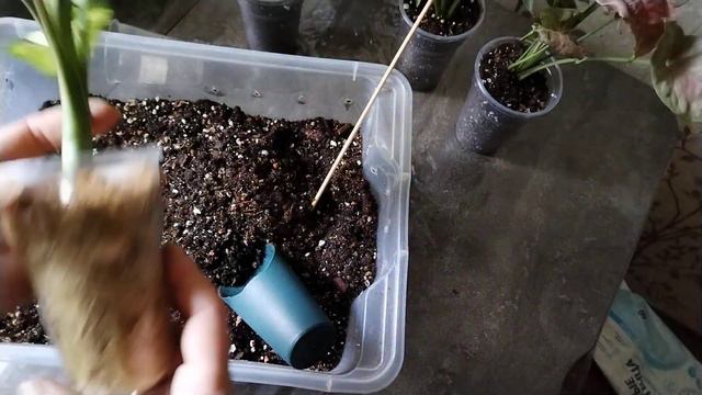 Пересадки. 06.10.2023г. смотреть онлайн