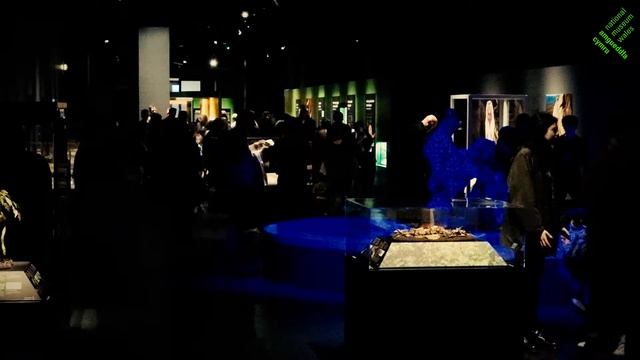 Nadroedd! yn Amgueddfa Genedlaethol Caerdydd | Snakes! in National Museum Cardiff смотреть онлайн