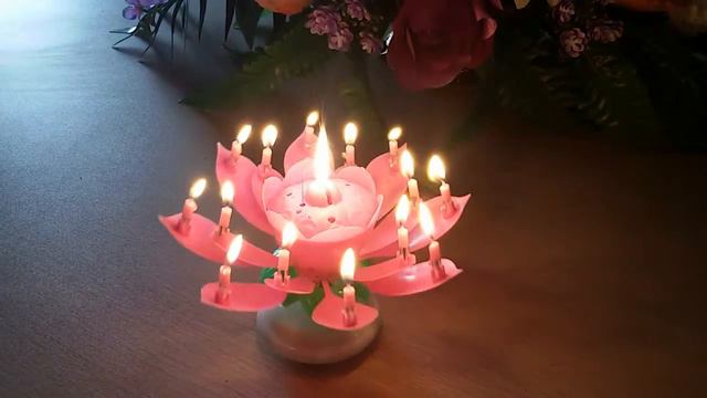 lotus music birthday amazing candle смотреть онлайн