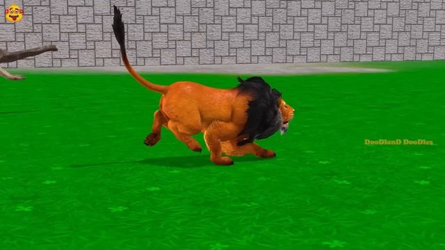 Choose The Right Gift Box Run Game With Elephant Cow Gorilla Buffalo Pig Trex Wild Animals Games смотреть онлайн