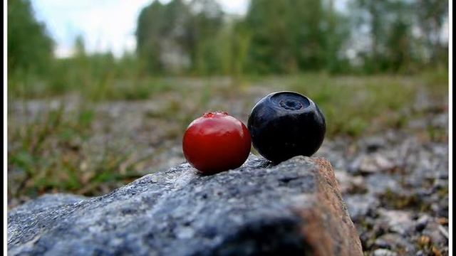 foto, SONY H5 смотреть онлайн