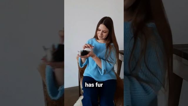 Люди, познавшие любовь животного-самые счастливые на этом свете?#питомникдегу #дегу #смешныеживотны смотреть онлайн