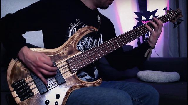 ALGEBRA - The Great Deception [BASS COVER] смотреть онлайн