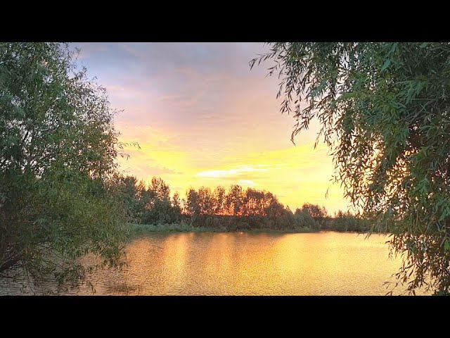 Sunset on the river in the village relax. смотреть онлайн