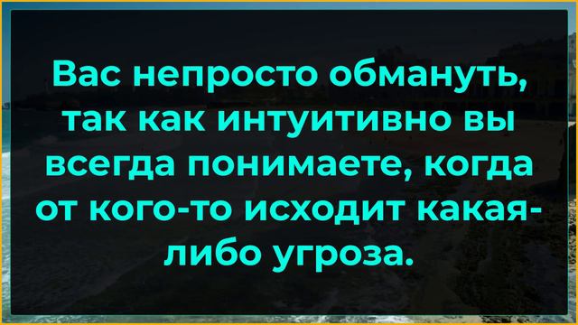 Психодиагностический тест – Что вы видите: грызуна или мужскую голову? смотреть онлайн