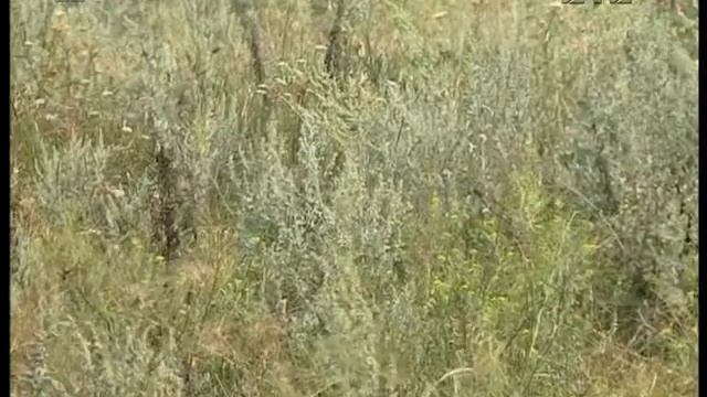 Налоговая нагрузка на землю в Днепре снижена в сто раз смотреть онлайн