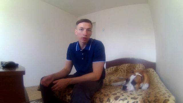 КТО ЛУЧШЕ ОХРАНЯЕТ ПИТБУЛЬ\\СТАФФОРД ИЛИ РОТВЕЙЛЕР смотреть онлайн