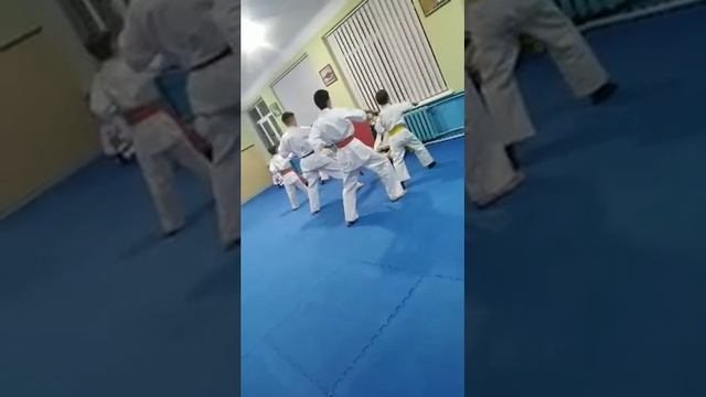 Техника на оранжевый пояс смотреть онлайн