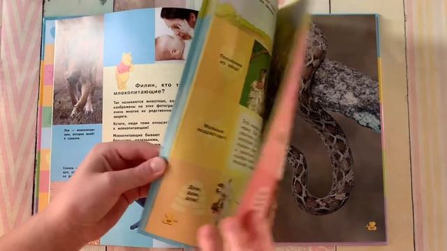 «Моя первая энциклопедия с Медвежонком Винни.Животные.», издание ‘ЭксмоДетство’. смотреть онлайн