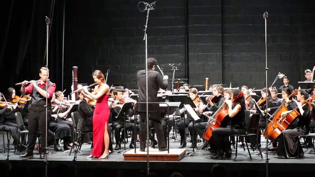 Franz Doppler Concerto for Two Flutes and Orchestra in D Minor смотреть онлайн