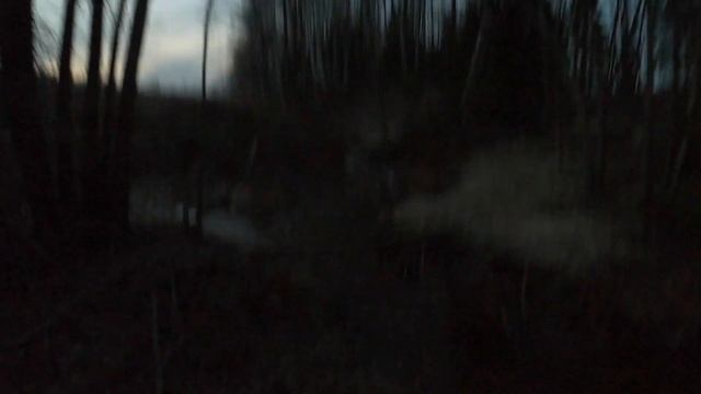 Весенняя охота на вальдшнепа закрытие юг МО 120421 первый смотреть онлайн