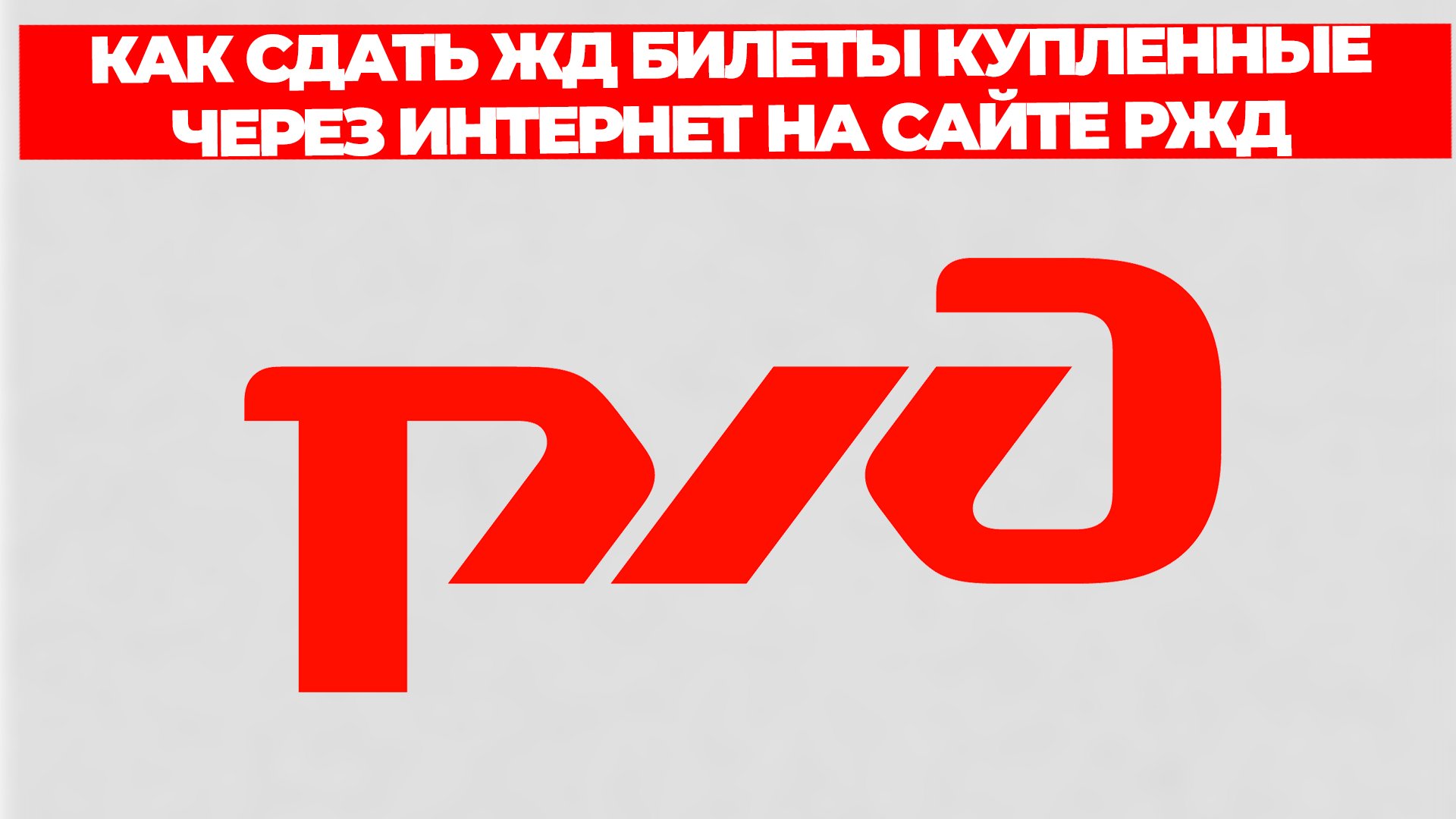 Всезнающий Енот