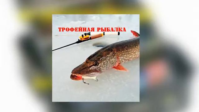 ТРОФЕЙНАЯ РЫБАЛКА смотреть онлайн