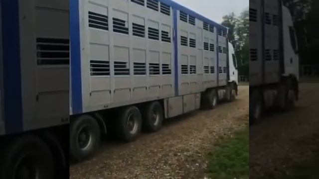 МРС на экспорт из России.