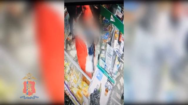 В Железногорске ряженый в Деда Мороза похитил деньги у приятеля смотреть онлайн