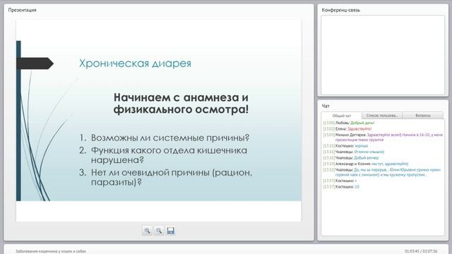 Вебинар. Заболевания кишечника у кошек и собак. Ветклиника "Котонай" смотреть онлайн